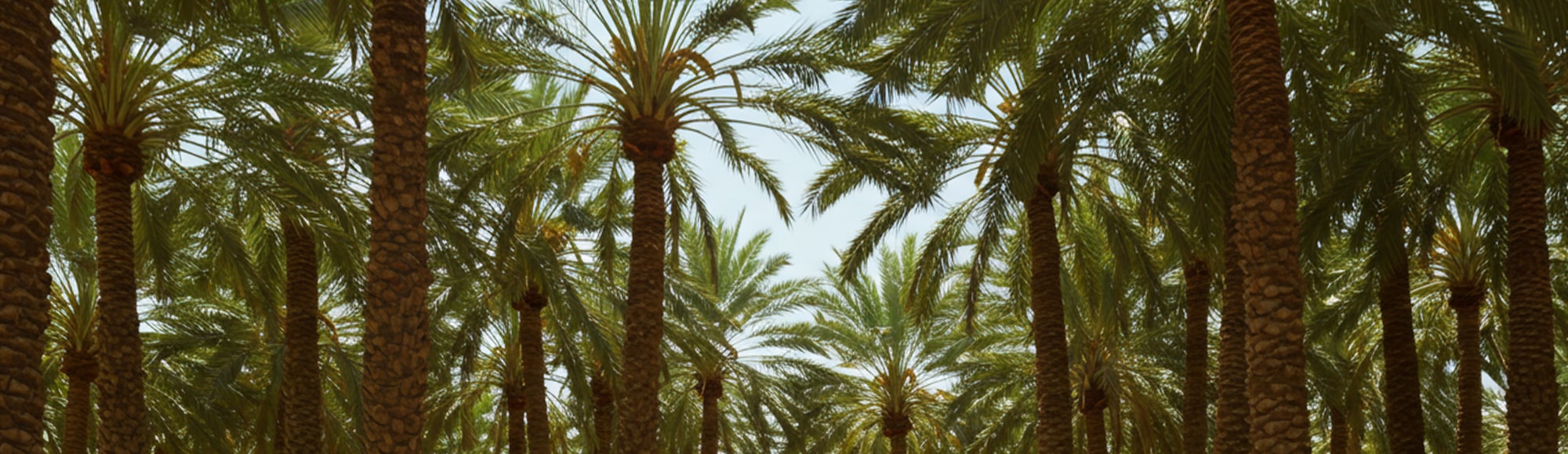banner i min